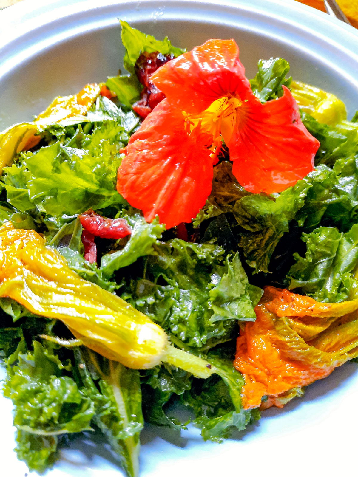 garden salad with squash blossom garnish