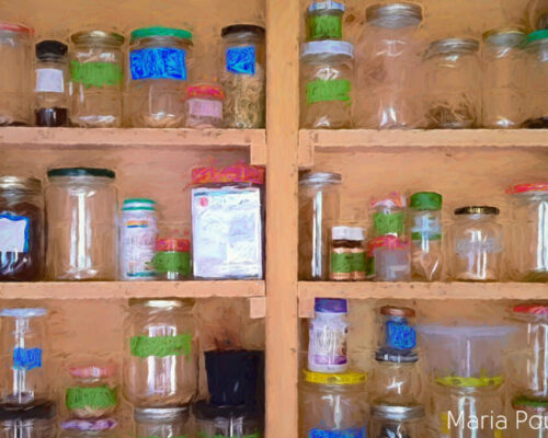 seeds in jars