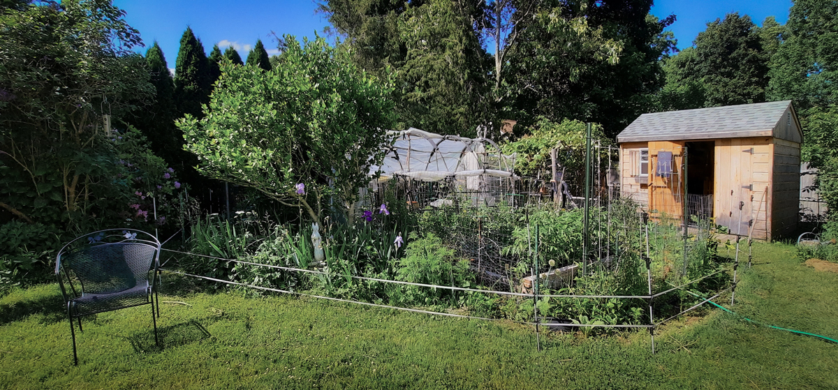 Garden prison using a solar electric fence