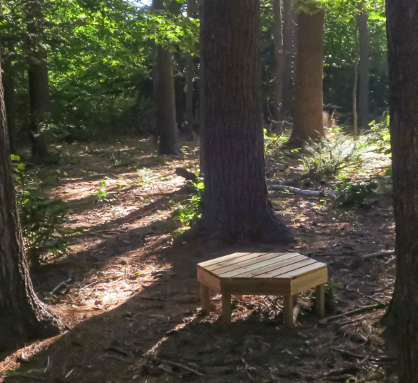 forest meditation table - cedar