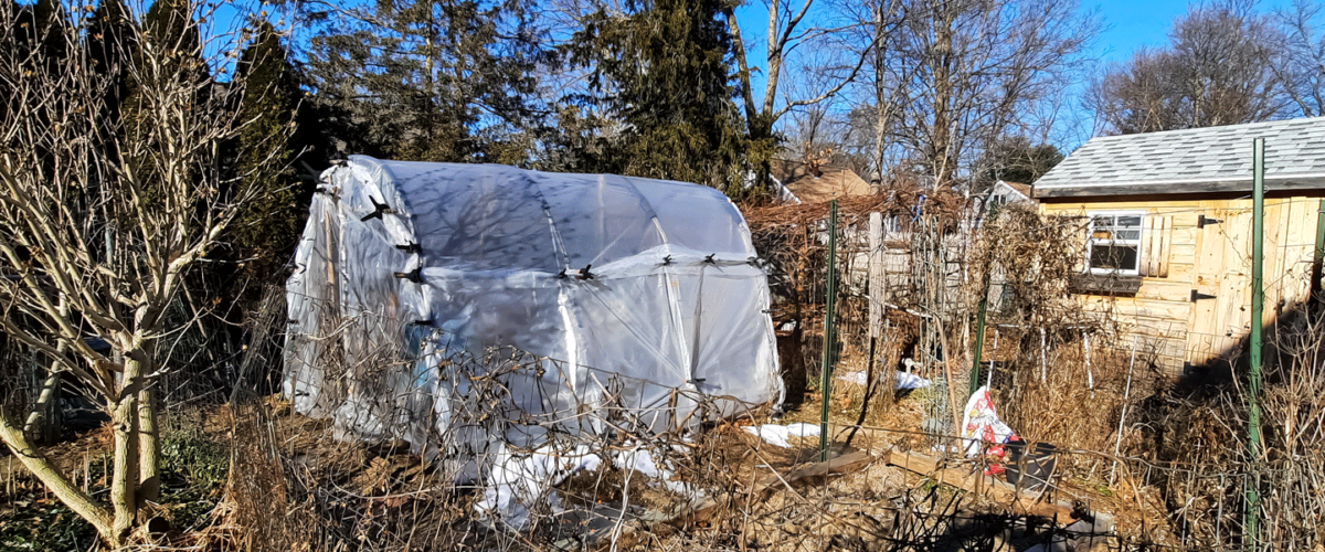 hoop house new england