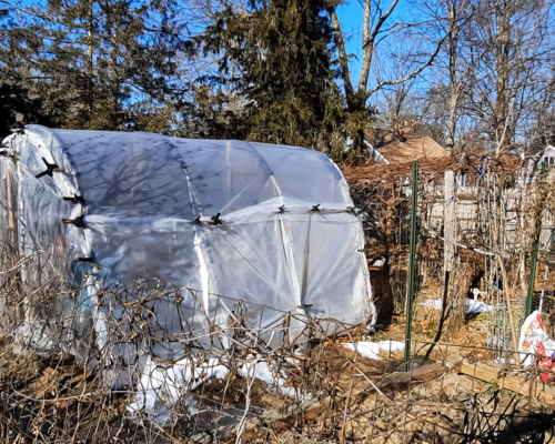 hoop house new england