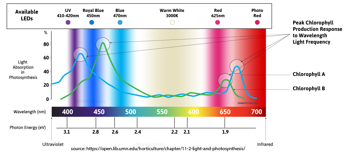 Optimal light spectrum for plant growth