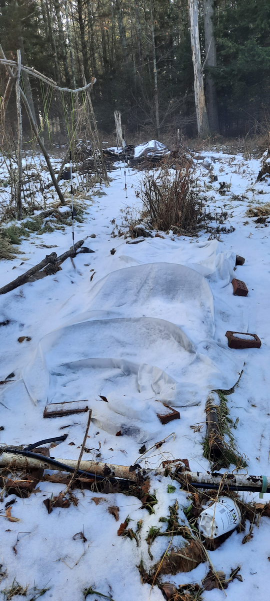 collapsed row tunnel in winter