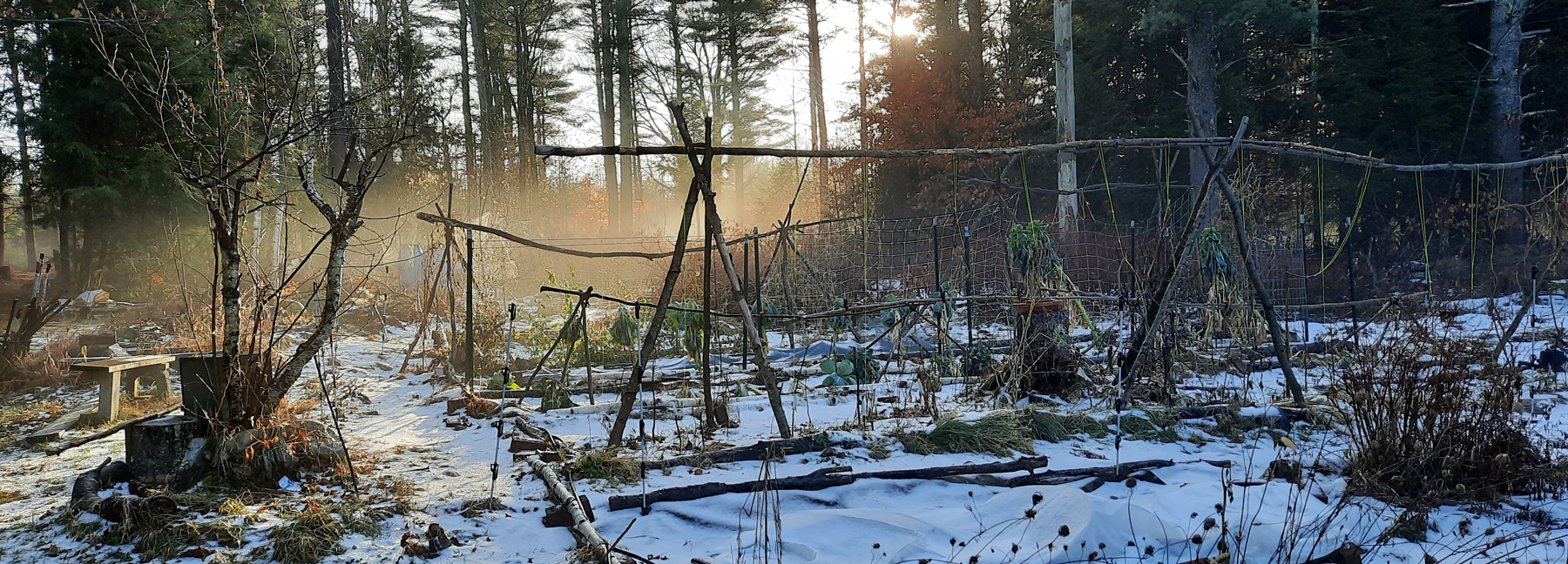 Late December NH Garden